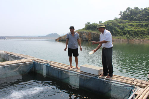 HTX nông, lâm nghiệp xã Thống Nhất (TP Hòa Bình) thực hiện tốt các dịch vụ cho hộ xã viên. ảnh: Cán bộ HTX hướng dẫn cách phòng bệnh cho cá cho các hộ xã viên nuôi cá lồng trên lòng hồ Hòa Bình.