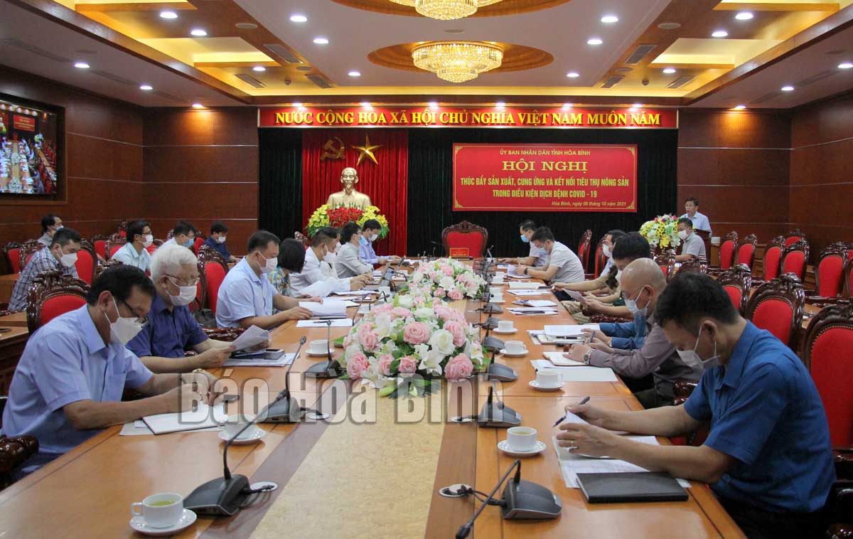 Hoa Binh boosts agricultural production, connectivity in selling farm produce