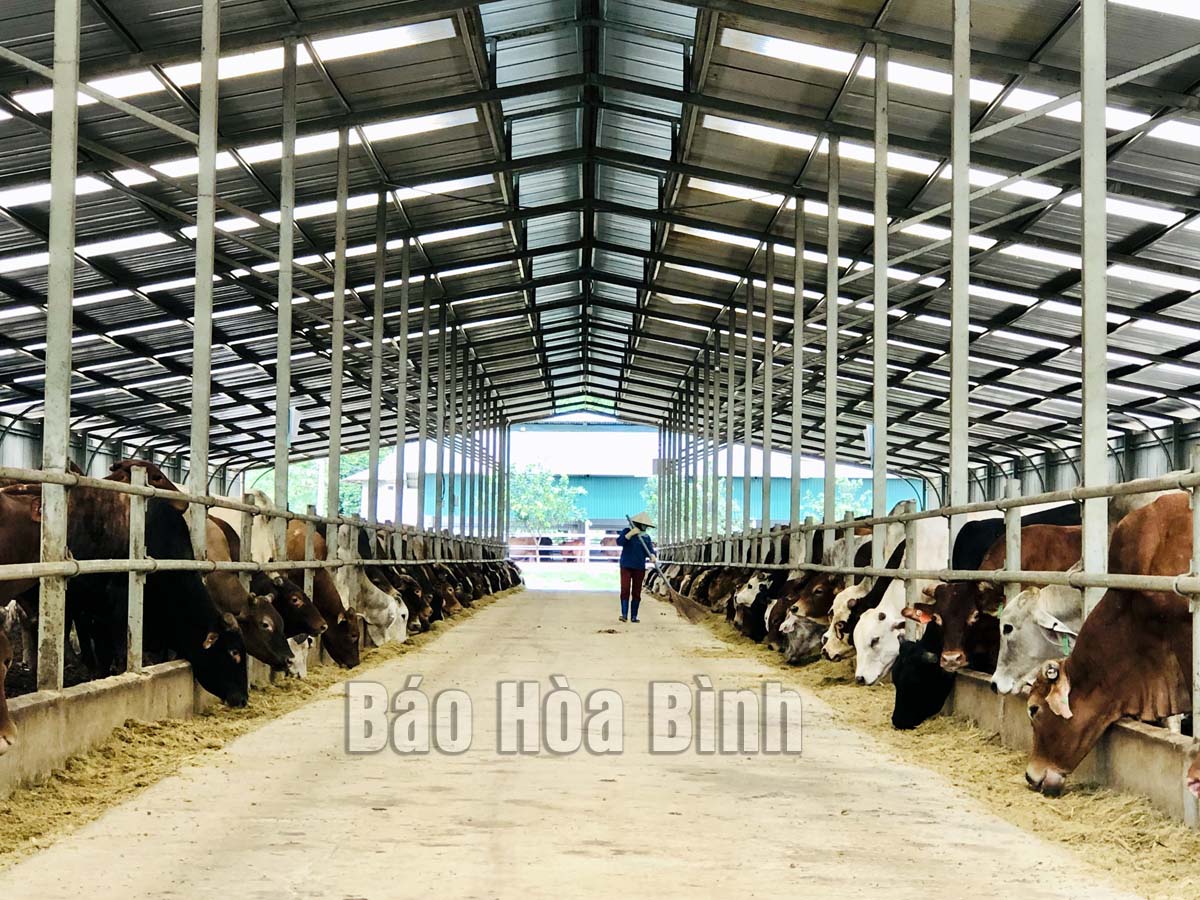 Hoa Binh develops circular economy in animal husbandry