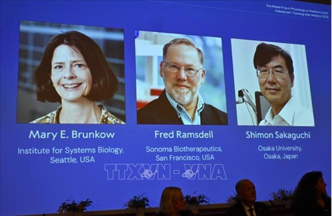 Chân dung các nhà khoa học đoạt giải Nobel Y sinh năm 2025 (từ trái sang): Mary E Brunkow, Fred Ramsdell và Shimon Sakaguchi. Ảnh: Reuters/TTXVN