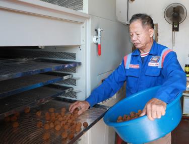 Thành viên Hợp tác xã Sản xuất nông nghiệp Anh An sử dụng dàn máy sấy lạnh, nâng cao sản lượng, chất lượng sản phẩm vải thiều sấy.