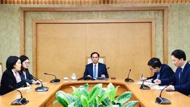 Phó Thủ tướng, Bộ trưởng Ngoại giao Bùi Thanh Sơn tại điện đàm. (Ảnh VGP)